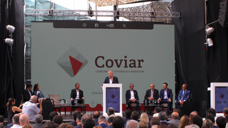 Bodegueros del Este de Mendoza renovaron sus fuertes críticas a la COVIAR
